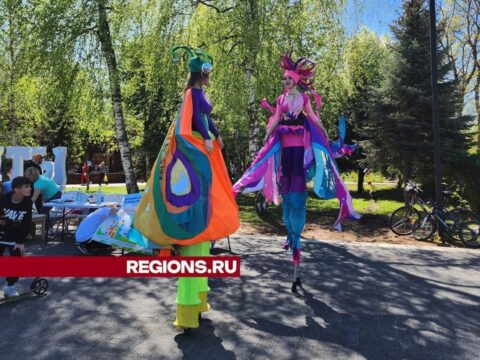 Мытищинский Парк Мира на первых майских праздниках вошел в число самых востребованных зеленых территорий региона Новости Мытищи 